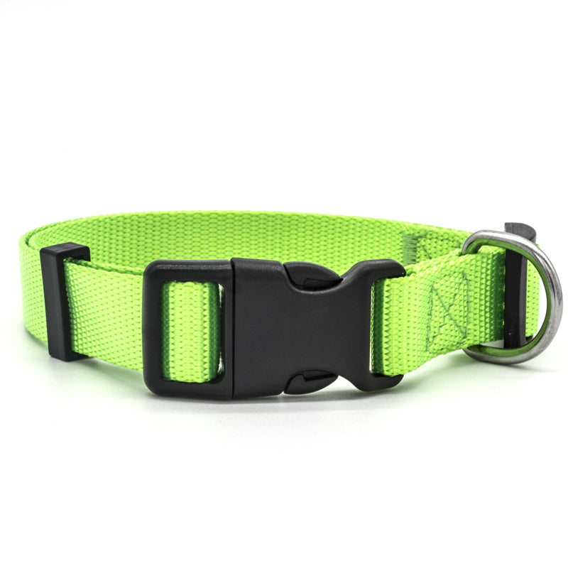 Comfortable and Durable Nylon Pet Collar