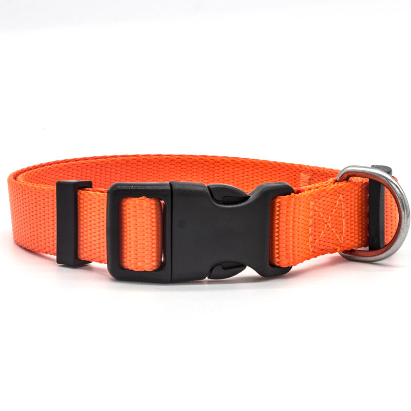 Comfortable and Durable Nylon Pet Collar