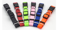 Comfortable and Durable Nylon Pet Collar