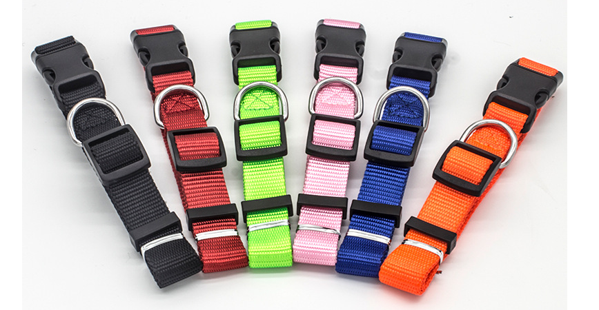 Comfortable and Durable Nylon Pet Collar