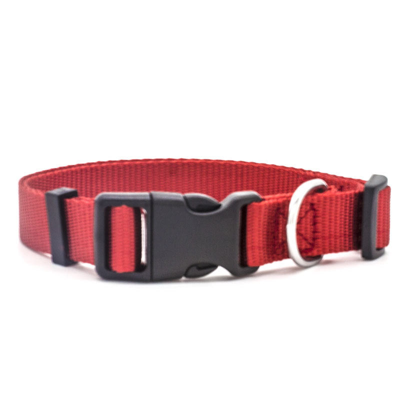 Comfortable and Durable Nylon Pet Collar
